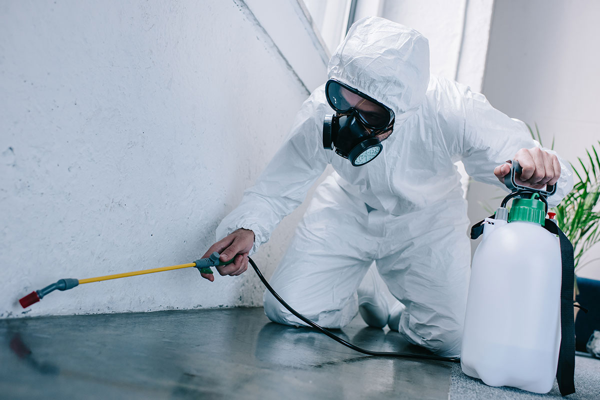 Pest Control in Mumbai – Expert Technicians at Your Doorstep